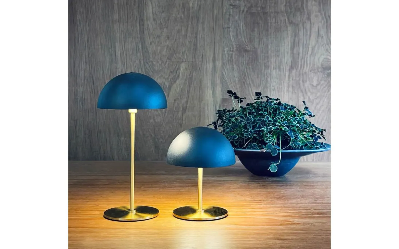 Along Uppladdningsbar Bordslampa 12/20cm 2 styck Svart/Mässing