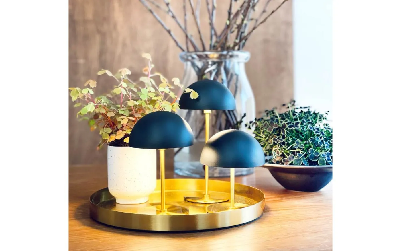 Along Uppladdningsbar Bordslampa 12/20cm 3 styck + Bricka Svart/Mässing