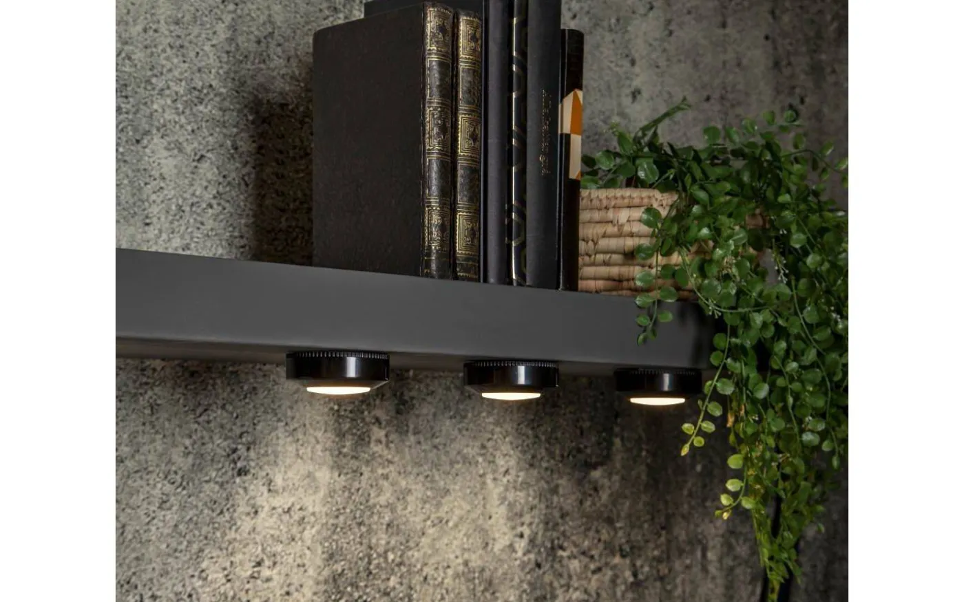 Batteridriven Spotlight Svart 3-pack