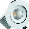 Belzig Svanhals Spotlight Dim to Warm 2000-2800K 11W Vit 230V