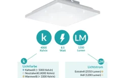 Calemar-S Plafond 29cm LED 4000K 8,5W Vit