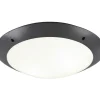 Camaro Plafond 33cm 2xE27 antracit IP54