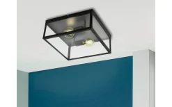 Charterhouse Plafond 36cm 2L Svart/Klar