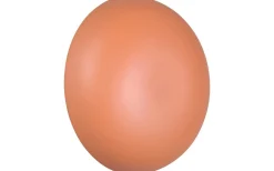 Davey Vägglampa LED aprikos uppladdningsbar