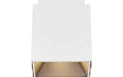 Ethan Takspotlight Vit