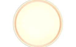 Felis Plafond LED 40cm mattvit