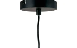 Flora Taklampa 60cm Mattsvart