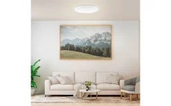 Frania Plafond 57cm LED 2700-6500K 32,5W med Fjärrkontroll Vit