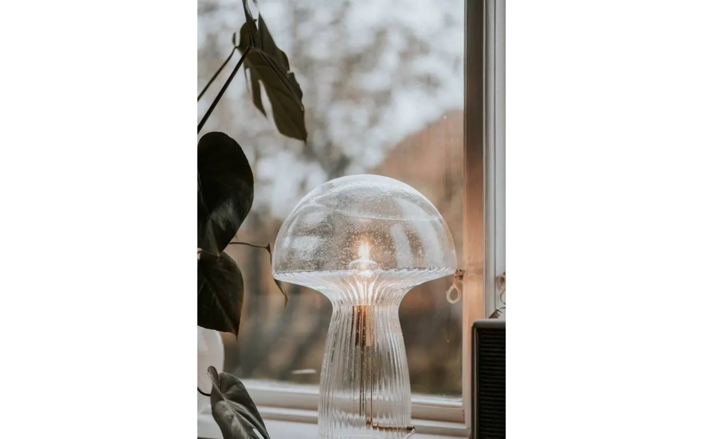 Fungo Bordslampa 30cm Klarglas