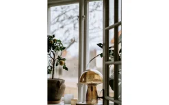 Fungo Bordslampa 42cm Special Edition Brun