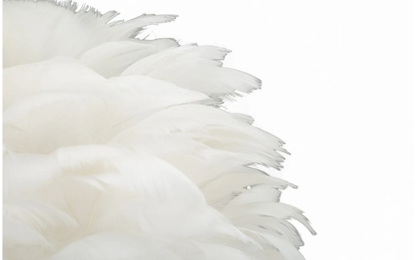 Largo Bordslampa Kullfjäder 50cm Vit/Guld