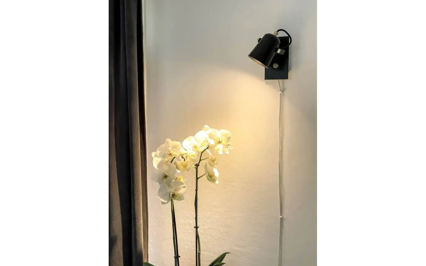 Metz Vägglampa Svart/Matt Mässing