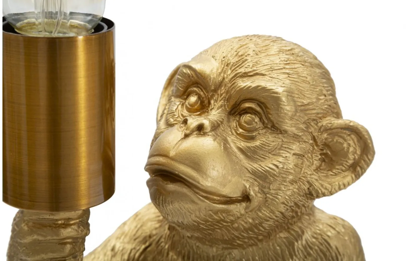 Occhio Bordslampa Apa 25cm Guld