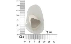 Ocean Vägglampa 31cm Silver