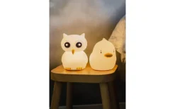 Owl Nattlampa LED RGB+W