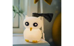 Owl Nattlampa LED RGB+W