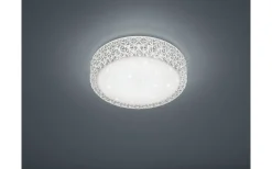 Pegasus Plafond LED 28cm transparent