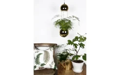 Planter Mini Fönsterlampa 18cm E14 Mässing