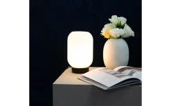 Riflet Bordslampa 22,5 Opal/Svart