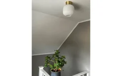 Vanja Plafond 20cm Vit/Matt Mässing