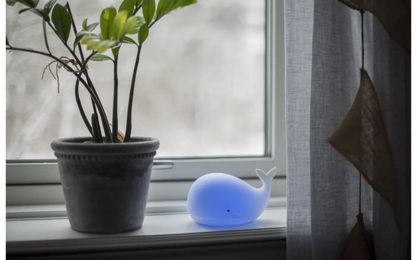 Whale Batteridriven Nattlampa Multi