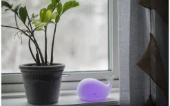 Whale Batteridriven Nattlampa Multi