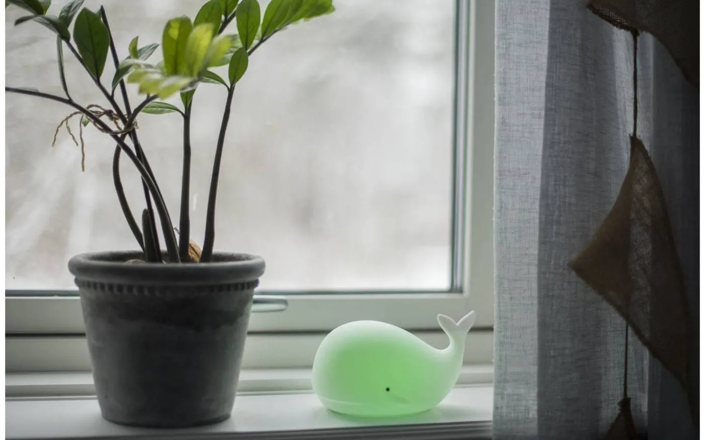 Whale Batteridriven Nattlampa Multi