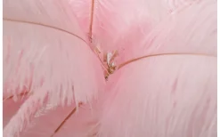 Yoga Golvlampa Palm 160cm Rosa/Guld